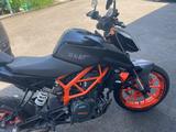 KTM Duke 390 - KTM DUKE 390