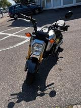 Honda MSX Grom - HONDA MSX