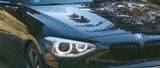 BMW F20 118i Sport Line 1er Tausch möglich - BMW 1er Reihe: Bmw1er