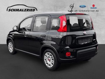 Bild 3 Fiat Panda Base 1.0 Mild Hybrid DAB Klima teilb.Rücks