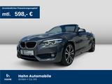 BMW 220d Cabriolet Auto. Sport-Line AHK Navi Einpark - BMW 220 in Stuttgart