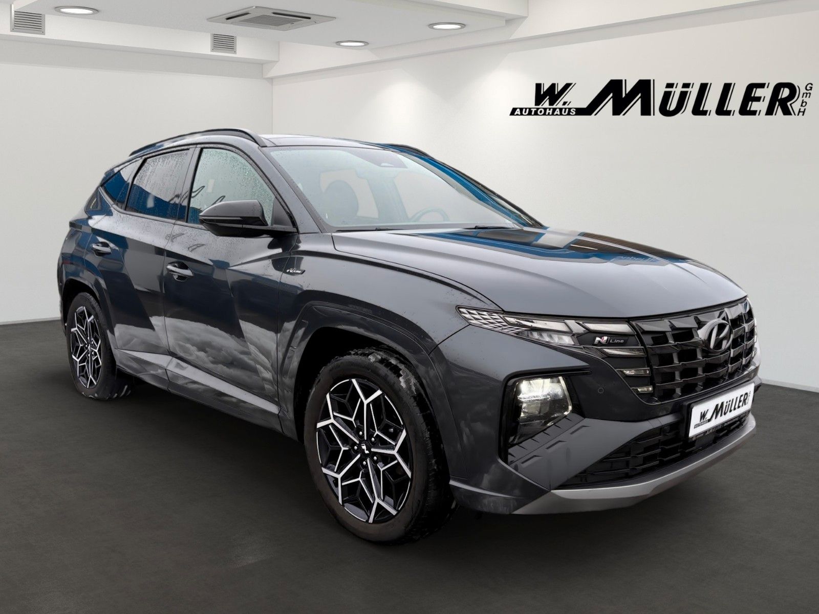 Fahrzeugabbildung Hyundai Tucson N Line Plug-In Hybrid Pano, Sitz-Paket