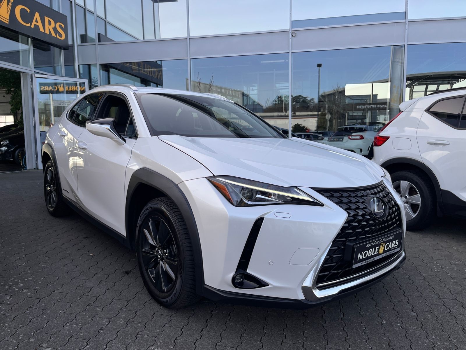 Fahrzeugabbildung Lexus UX 250 h Launch Edition LED NAV SHZ RFK