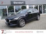 Mazda CX-30 Selection 122 Automatik Design|Active|Bose - Mazda CX-30 in Essen