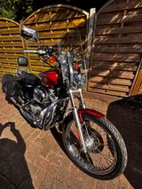 Harley-Davidson XL 883 C     - HARLEY-DAVIDSON 883 XL