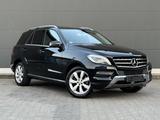 Mercedes-Benz ML 250 CDI BlueTec 4Matic Rkam Schiebedach TOP - Mercedes-Benz ML-Klasse Gebrauchtwagen in Frankfurt