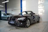 BMW 220 i Cabriolet SportLine *Harman*M-Lenkrad*Navi - mit Benzin-Antrieb: Braun, Cabrio