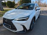Lexus 350h 4x4 LuxuryLine HUD Pano MarkLevinson Finanz - Lexus NX-Serie Benziner Gebrauchtwagen