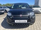 Fiat Panda Cross MY22 City Plus Hybrid 1.0 GS - Fiat Panda in Leipzig