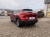 Mazda CX-30 179 PS Selection Leder Design-Paket - scheckheftgepflegte Mazda CX-30
