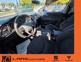 Seat Leon FR 1,5 TSi-Navi/Sitzheizung/PDC vorn+hinten - mit Benzin-Antrieb: Sitzheizung, Limousine, Hinten