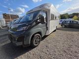 Weinsberg CaraSuite 650 MG 13.800,- EUR Gespart - Weinsberg 650mg carasuite