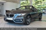 BMW 220 d Sport Line Cabrio~Automatik~Leder~Navi Pro - BMW 2er Reihe mit Diesel-Antrieb: Cabrio, Automatik