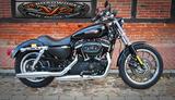 Harley-Davidson Sportster XL883 TOP Zustand 1 Jahr Gewährleist. - HARLEY-DAVIDSON 2009 883