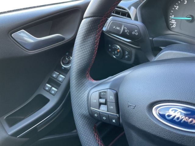 Fahrzeugabbildung Ford Fiesta 1.0 EcoBoost M-Hybrid ST-Line Sitzheizung