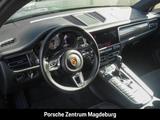 Porsche Macan GTS*PANO*BOSE*ACC*PASM*AZV*SHZ* - Porsche Macan in Magdeburg