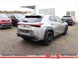 Lexus UX 2.0 250 h - Lexus Gebrauchtwagen