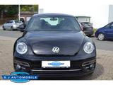 Volkswagen Beetle Design BMT 1.2 TSI Start-Stopp 1 Hd,TOP - Volkswagen Beetle in Düsseldorf