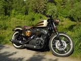 Harley-Davidson XL1200N Nightster zu Custom Bike  - HARLEY-DAVIDSON NIGHTSTER