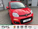 Fiat Panda Lounge 1.2 8V 69PS Klima Radio PDC - Fiat Panda aus 2017