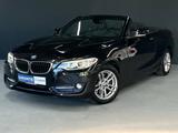 BMW 220i Cabrio Sport SHZ Navi Leder LED PDC - BMW Gebrauchtwagen