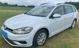 Volkswagen Golf 1.6 TDI SCR Trendline Variant Trendline - Volkswagen Golf: Trendline TDI