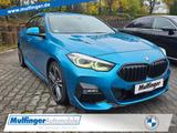 BMW 220 GC dA M Sport LiveProf.HUD Kamera Fin.307,- - BMW: F30