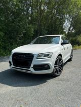 Audi SQ5 Plus 3.0 TDI AHK Kamera B&O Stand... - Audi SQ5 in Braunschweig