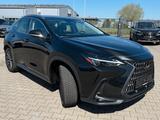 Lexus NX 350h Executive Hybrid - Lexus: Nx