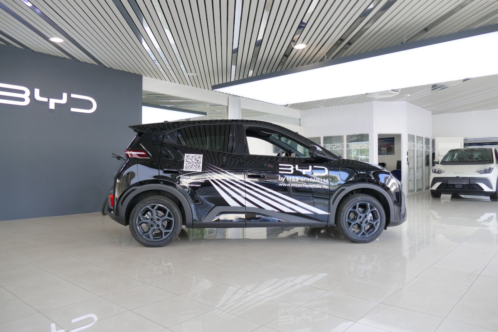 BYD DOLPHIN SURF
