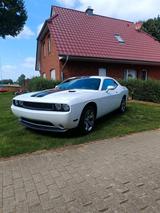 Andere Dodge Challenger SXT 3,6 V6 - Andere mit Benzin-Antrieb: Limousine