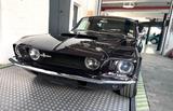 Ford Mustang GT350 Shelby Fastback  - Ford Mustang aus 1968: Fastback