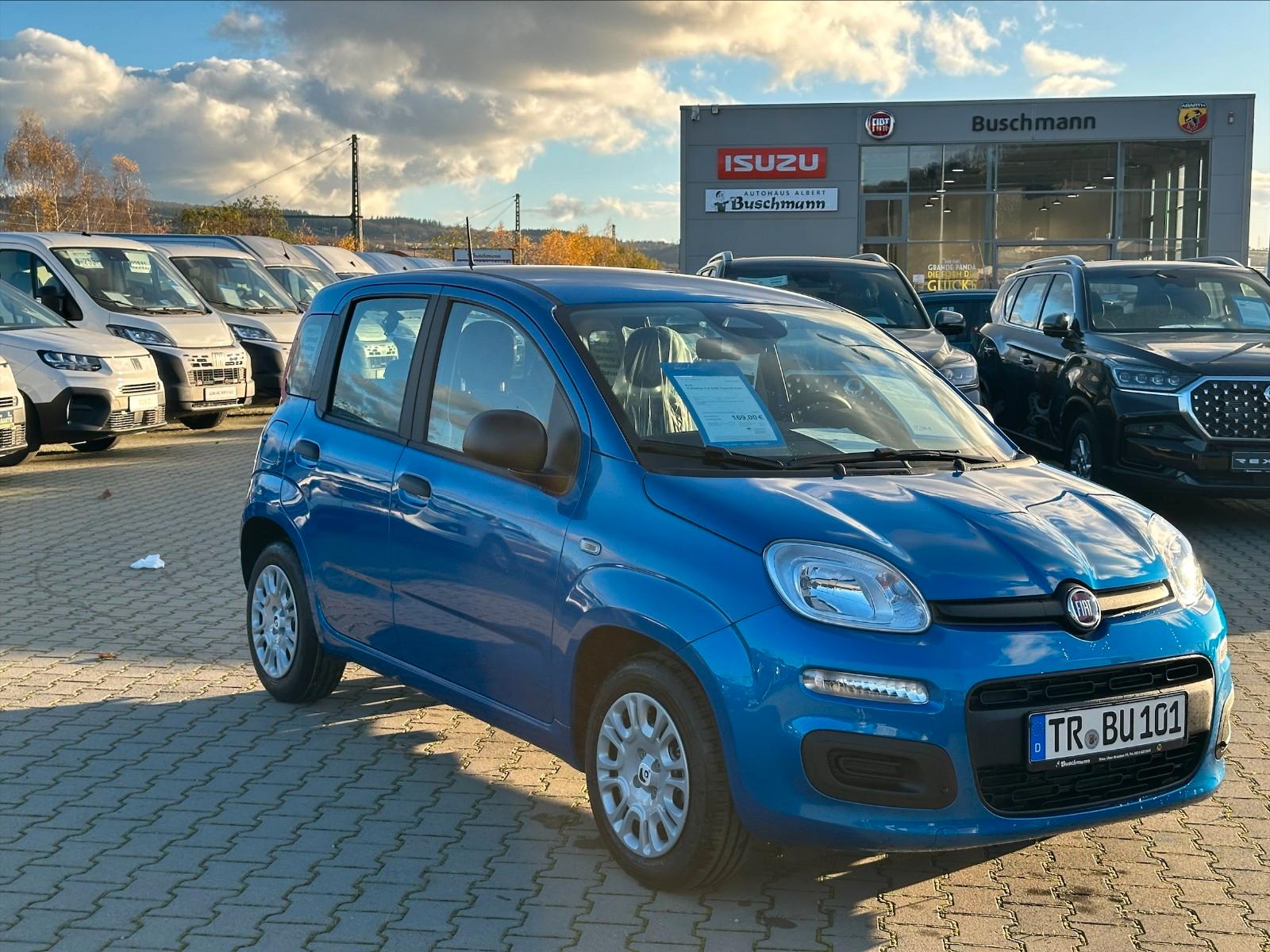 Fiat Panda Pandina Icon