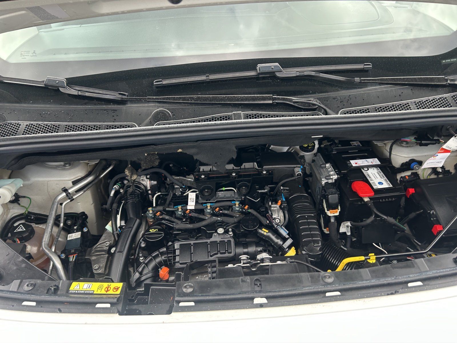 Fahrzeugabbildung Opel Combo Cargo 1.5 D Edition (EURO 6d)