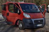 Fiat Ducato 250 L1H1 Camper Van, Campingbus, - : Campingbus