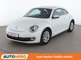 Volkswagen Beetle 1.4 TSI Design BlueMotion Tech Aut.*TEMPO - Volkswagen Beetle Gebrauchtwagen