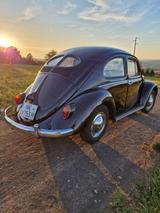 Volkswagen Käfer Brezel Zwitter TÜV neu - Volkswagen Käfer: Limousine