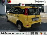 Fiat Panda Hybrid 1.0 Klima PDC DAB USB Kollisionswar - Fiat Panda: Gelb