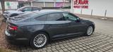 Audi A5 40 TDI S tronic Sportback S line S line - Audi A5 in Augsburg