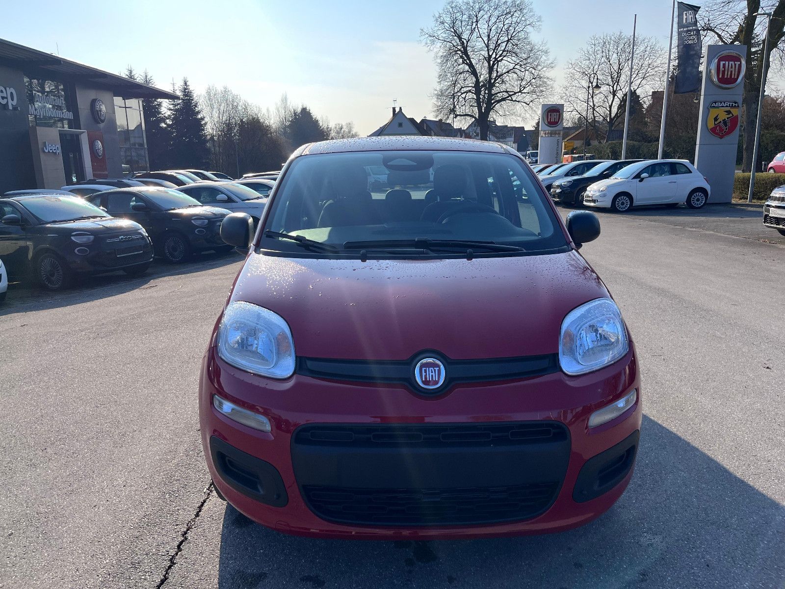 Fahrzeugabbildung Fiat Panda
