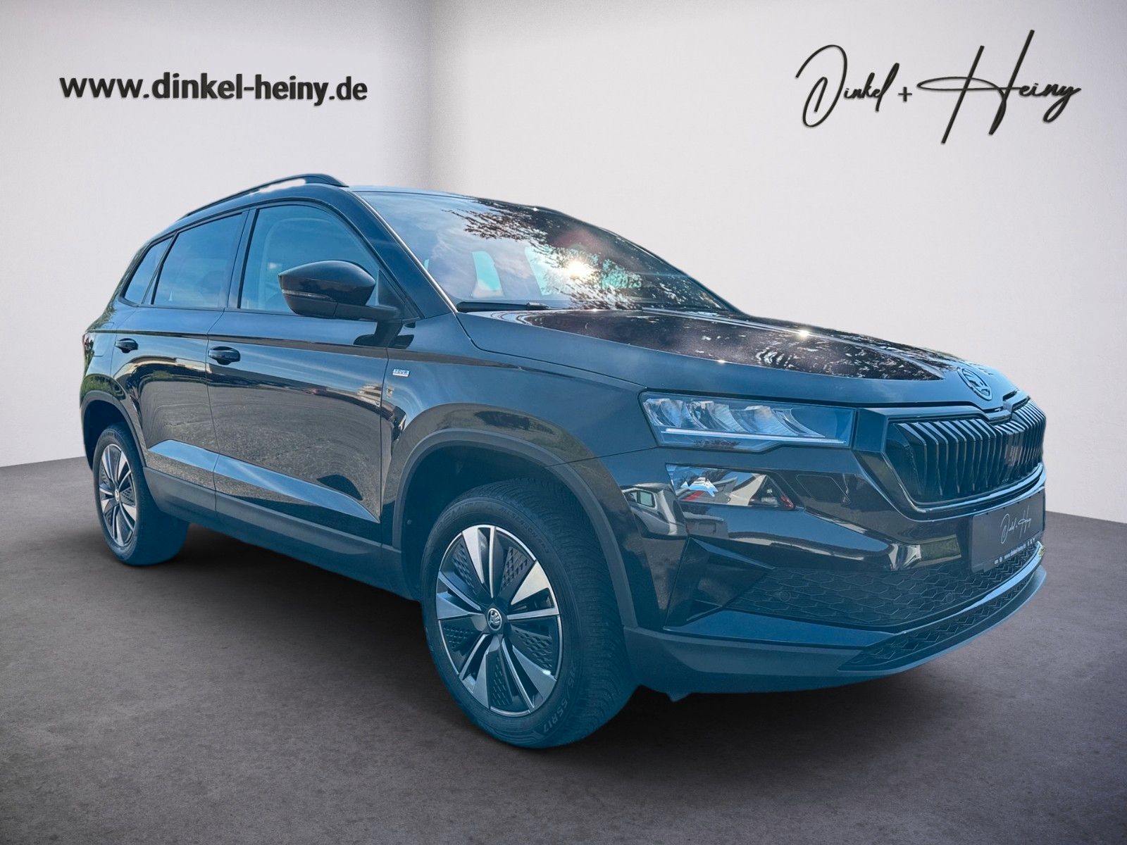 Fahrzeugabbildung SKODA Karoq Ambition Tour 1.5 TSI