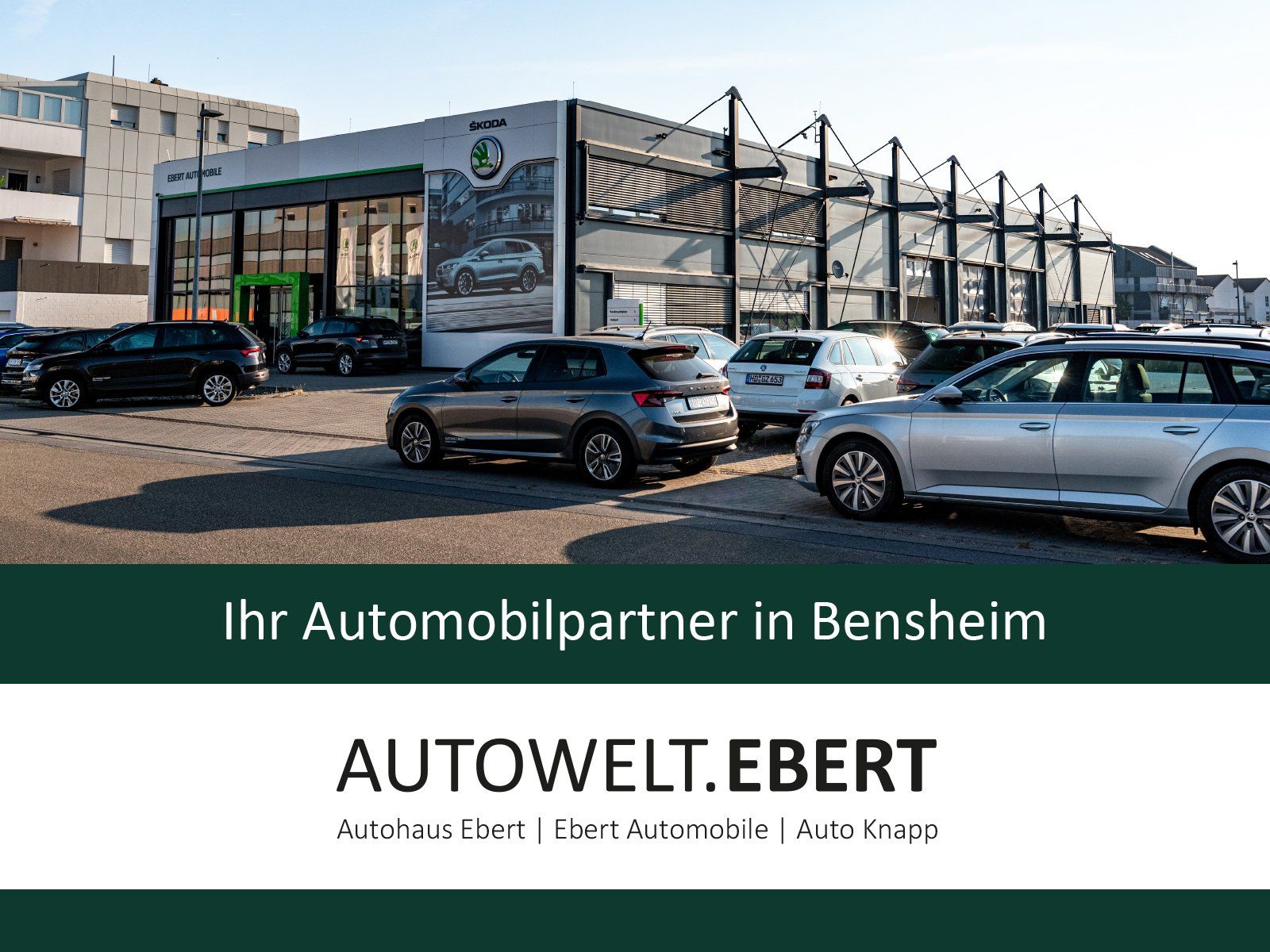 Fahrzeugabbildung SKODA Karoq Selection 1,5 TSI 110 kW DSG