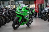 Kawasaki Ninja ZX4RR, Modell 2026, sofort lieferbar - SPORTLER VON 251 BIS 500 CCM