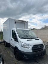 Ford Transit 350 L2 Kühlwagen-Kress*Ladebordwand* - : Kühlwagen