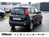Fiat Panda MY26 Pandina ICON Hybrid 1.0 GSE SOFORT TE - Fiat Panda: Schwarz