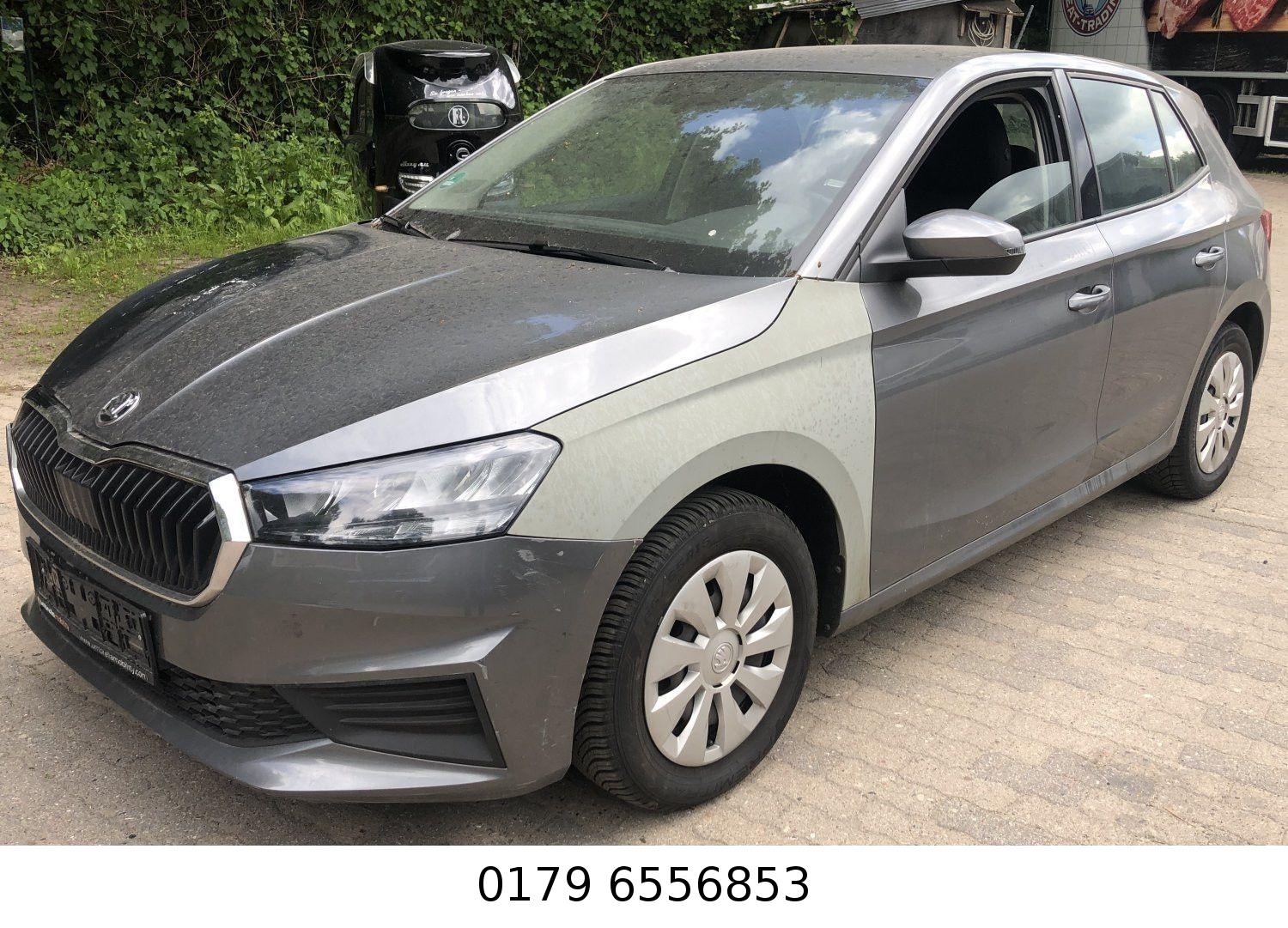 Skoda Fabia IV Ambition Klima Sitzheizung PDC