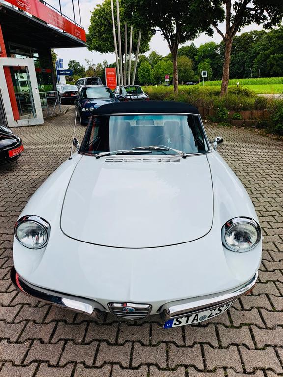 Alfa Romeo Spider