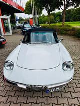 Alfa Romeo Spider 1750 Duetto - Technik neu- H-Kz. - gebrauchte Alfa Romeo Spider aus dem Jahr 1969