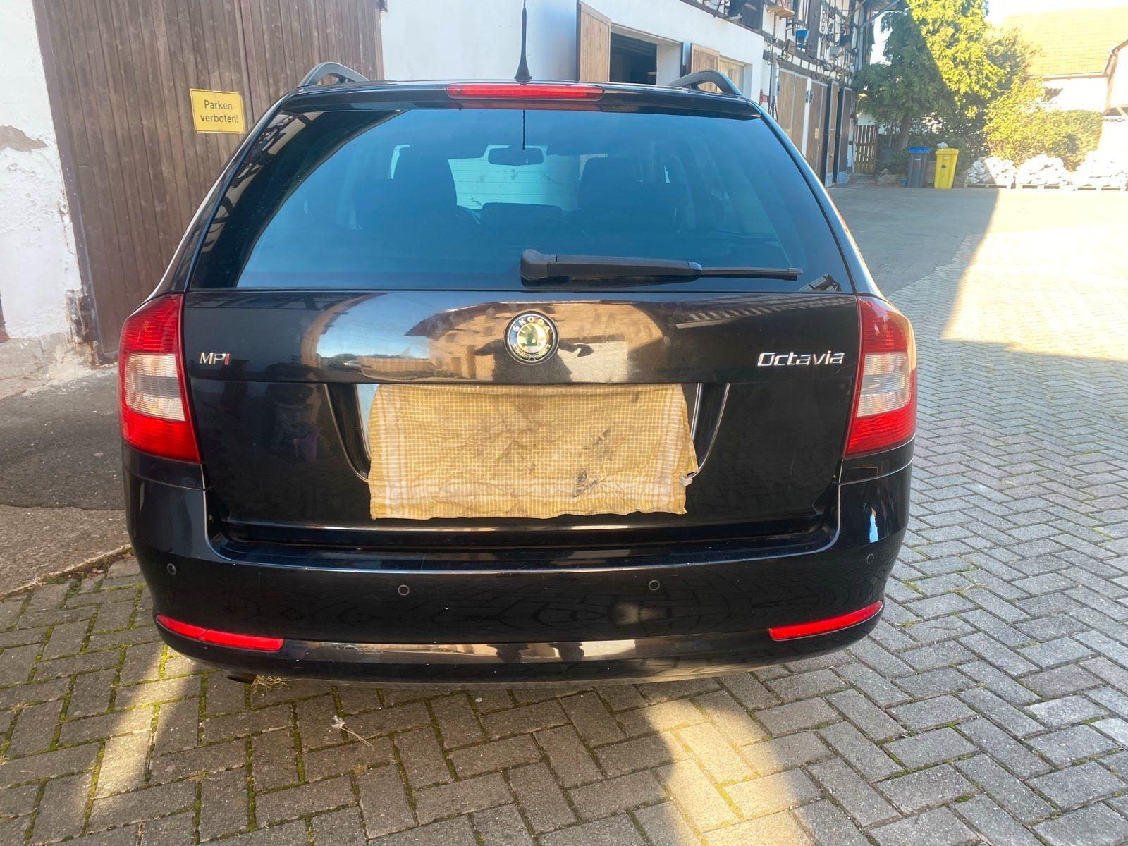 Skoda Octavia 2009 — photo 5