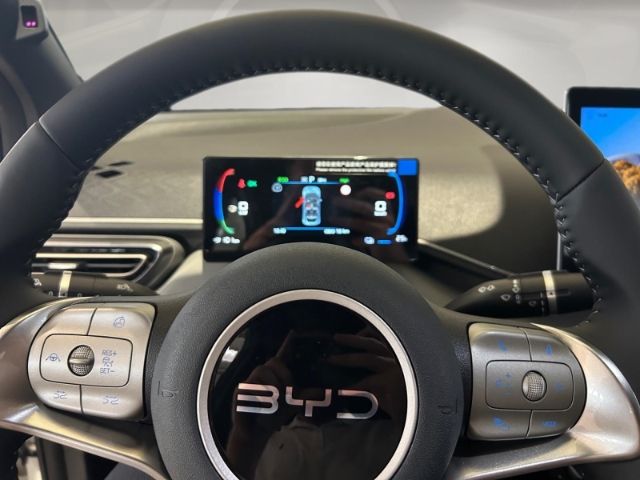 BYD DOLPHIN SURF